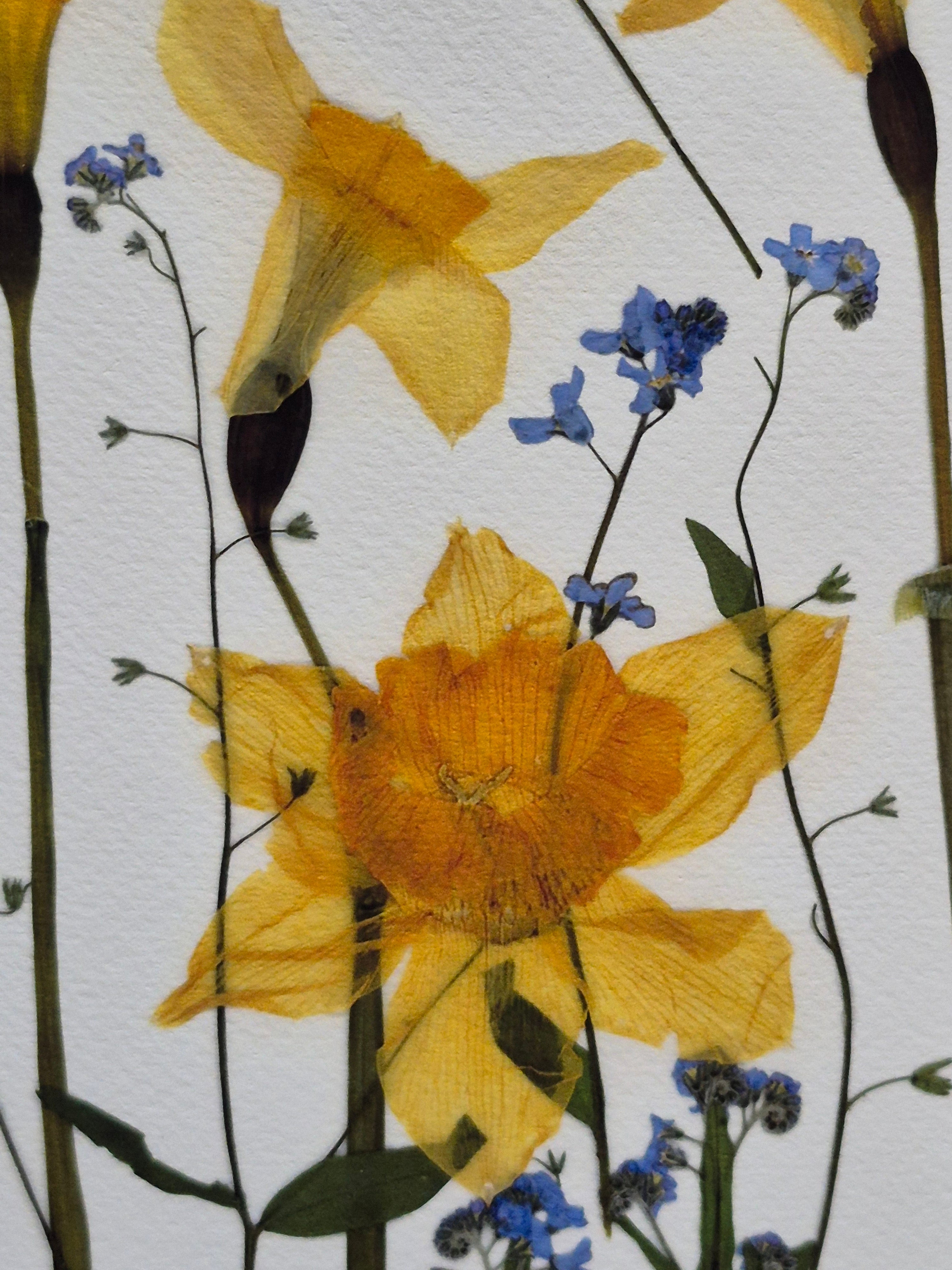 Oeuvre florale - Champ fleuri variation 2