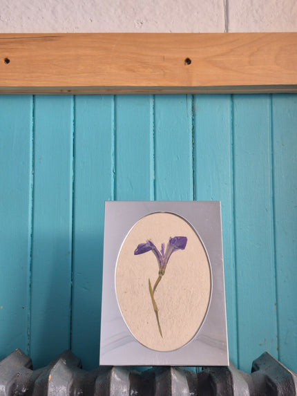 Cadre floral Lys bleu