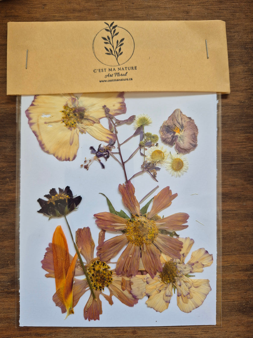 Sachets de fleurs pressées naturelles