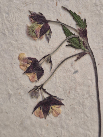 Composition florale artisanale sur papier Lokta 