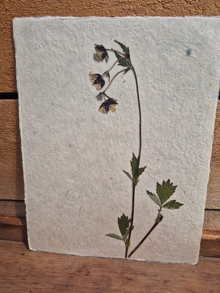 Composition florale artisanale sur papier Lokta 