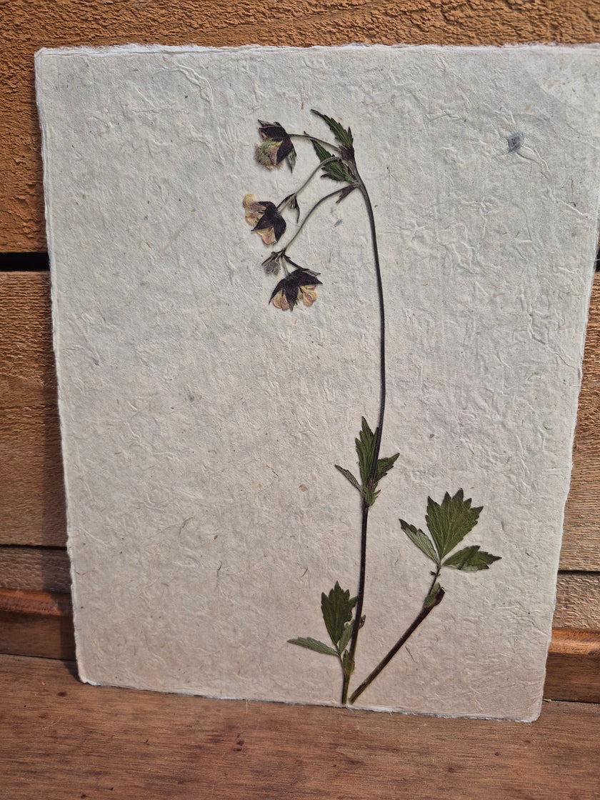 Composition florale artisanale sur papier Lokta 