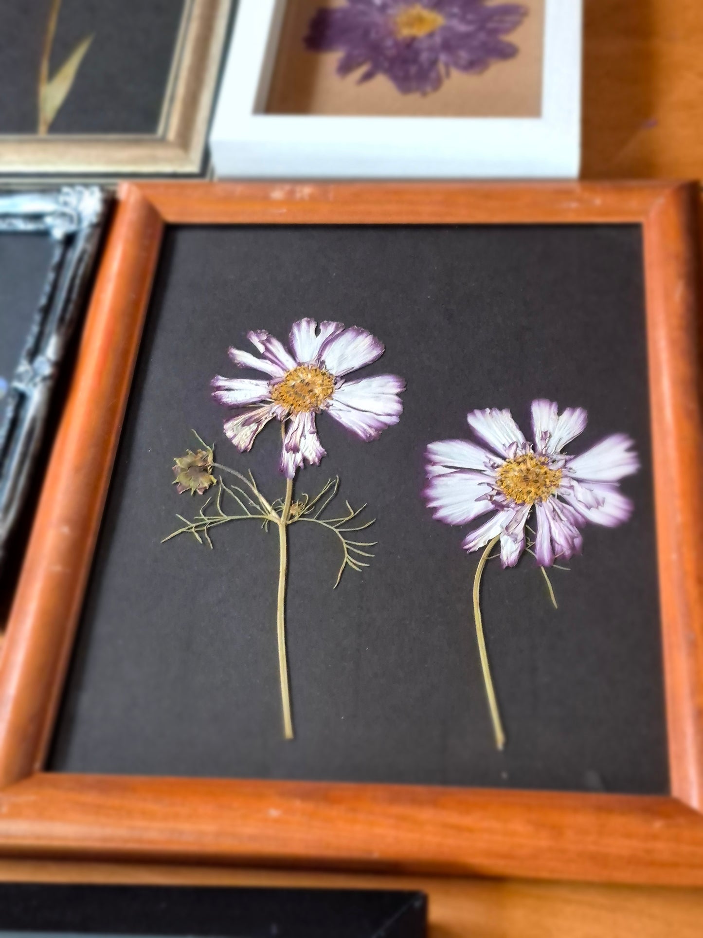 Cadre - Deux amies cosmos