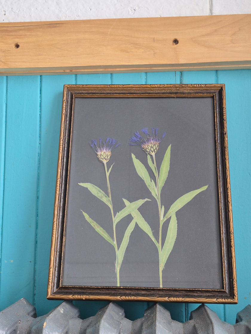 Cadre floral Punky bleu