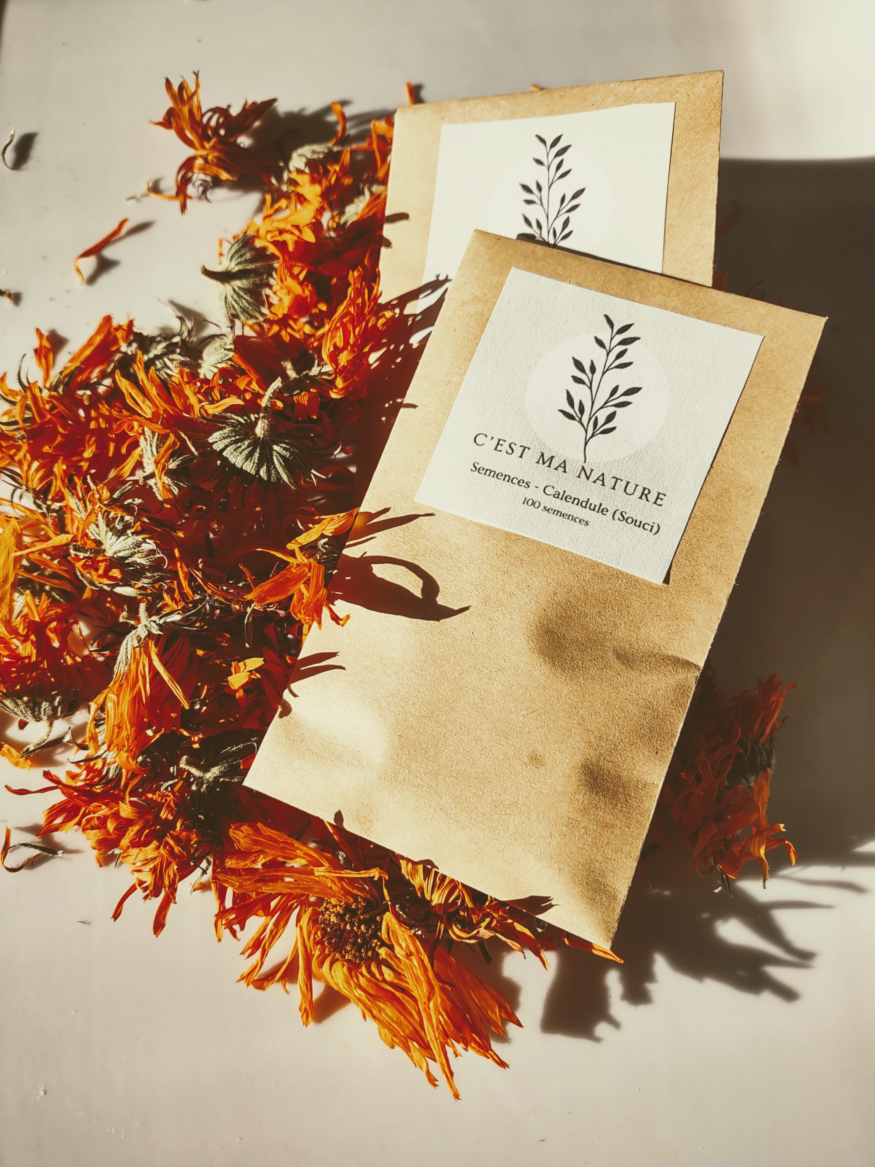 Semences Calendule