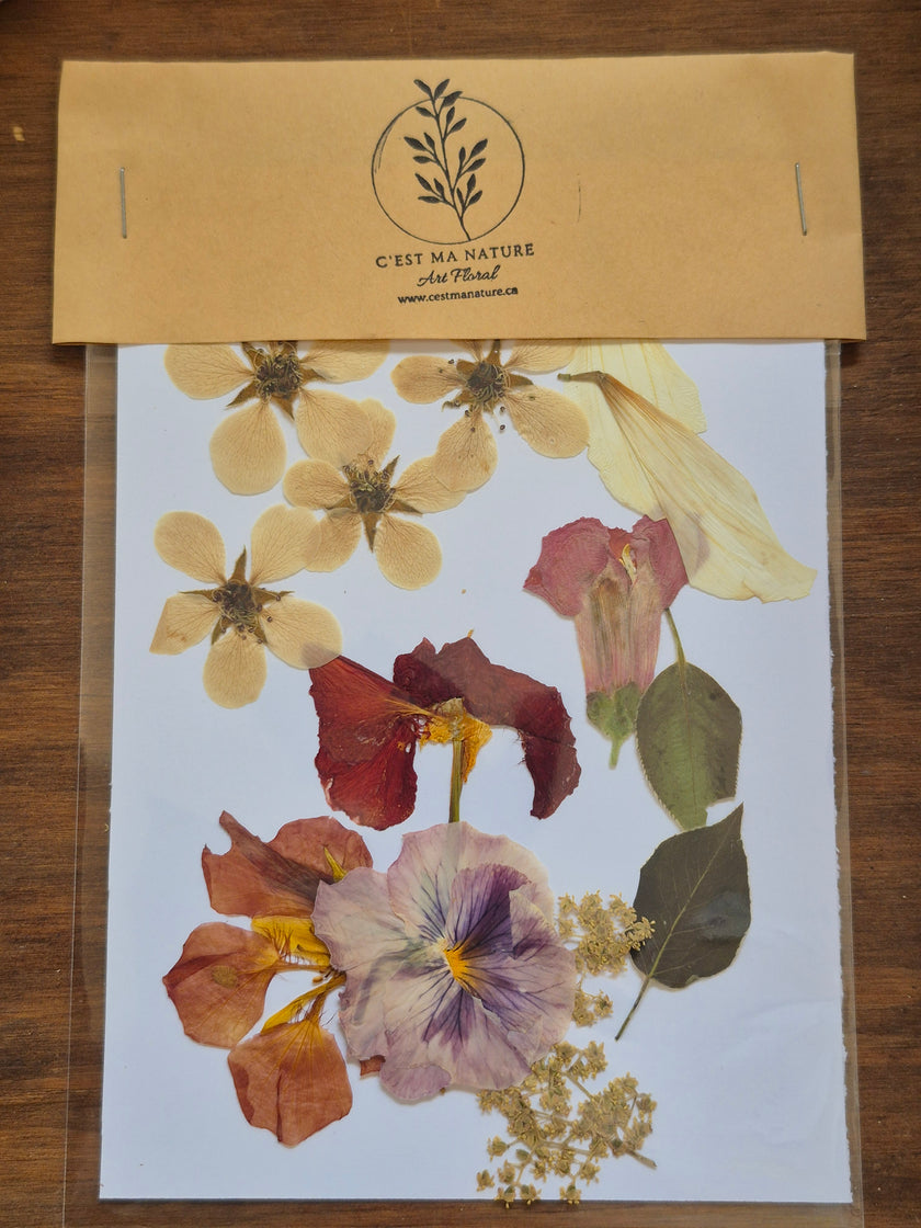 Sachets de fleurs pressées naturelles