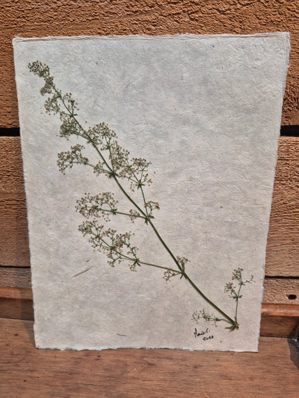 Composition florale artisanale sur papier Lokta 