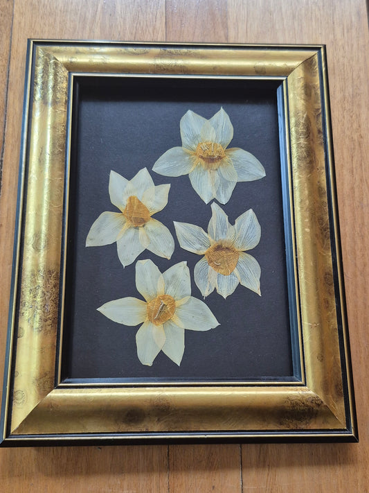 Cadre - Jonquilles