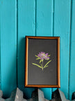 Cadre floral Monarde