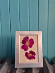 Cadre floral Roses