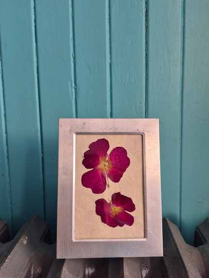 Cadre floral Roses