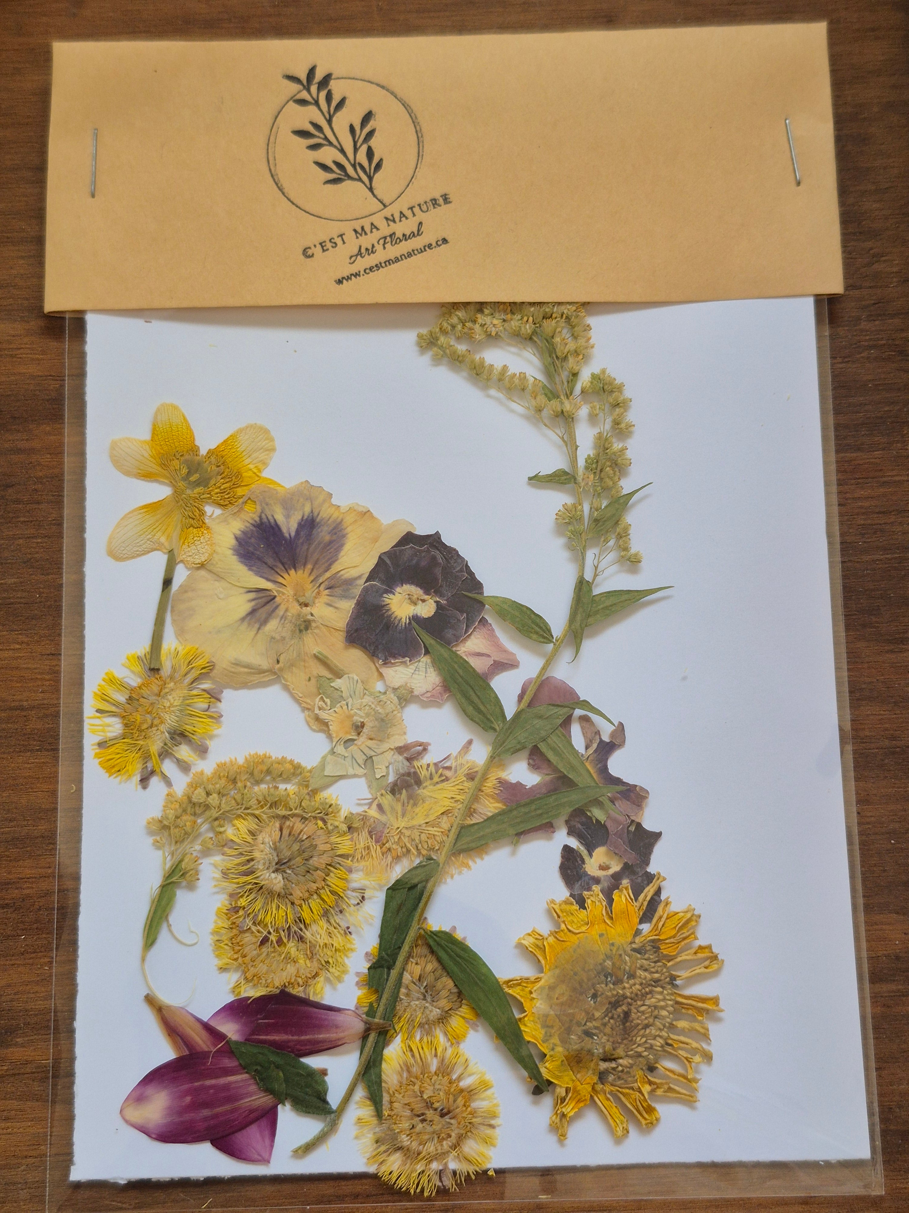 Sachets de fleurs pressées naturelles