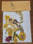 Sachets de fleurs pressées naturelles