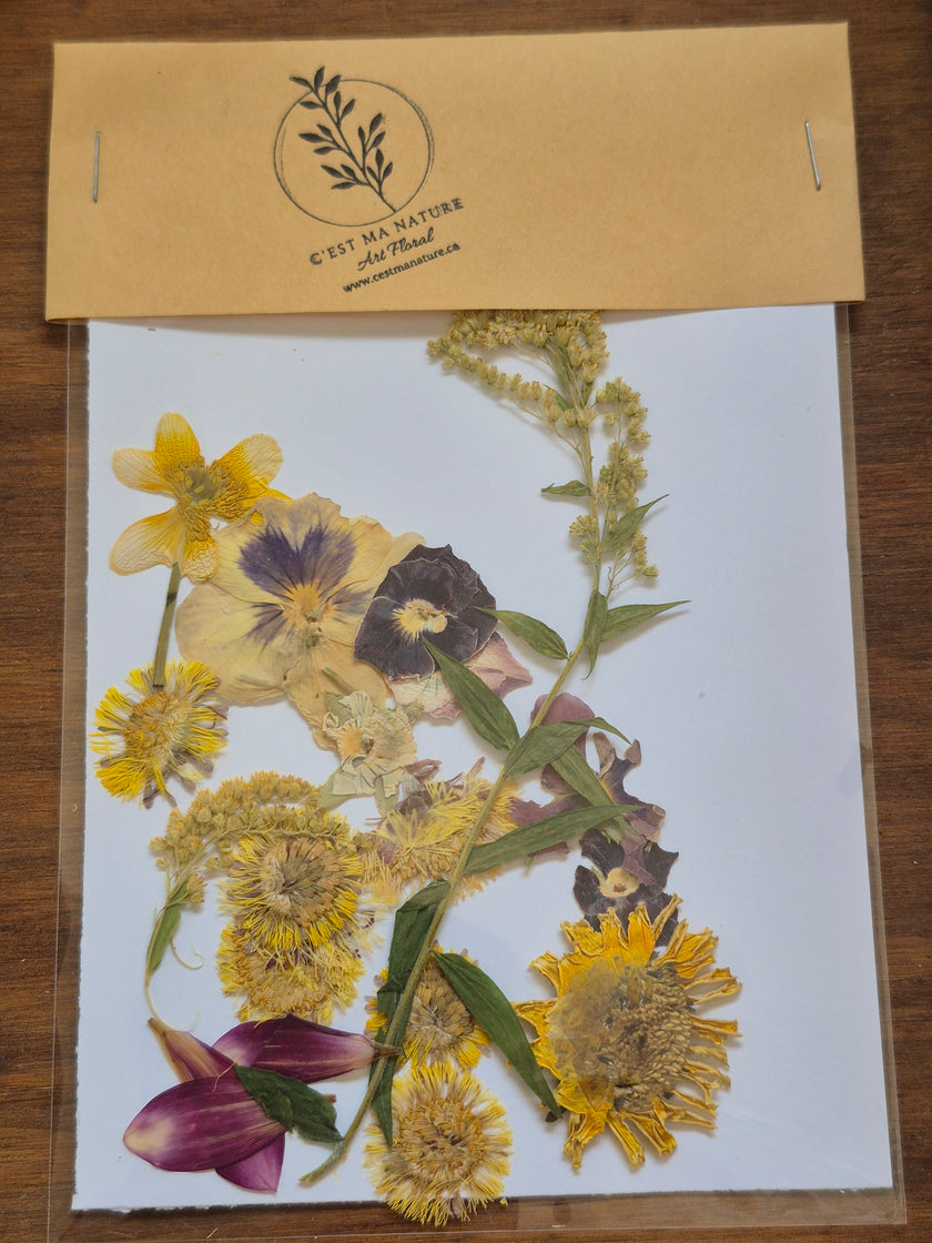 Sachets de fleurs pressées naturelles
