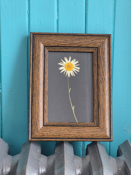 Cadre floral Marguerite