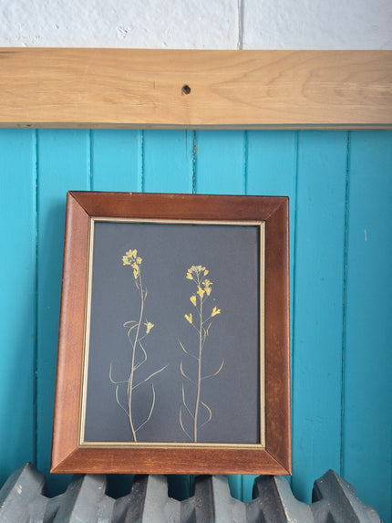 Cadre floral fleurs de kale III