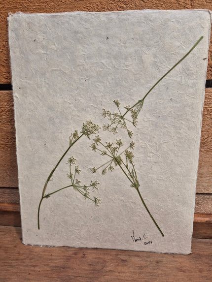 Composition florale artisanale sur papier Lokta 