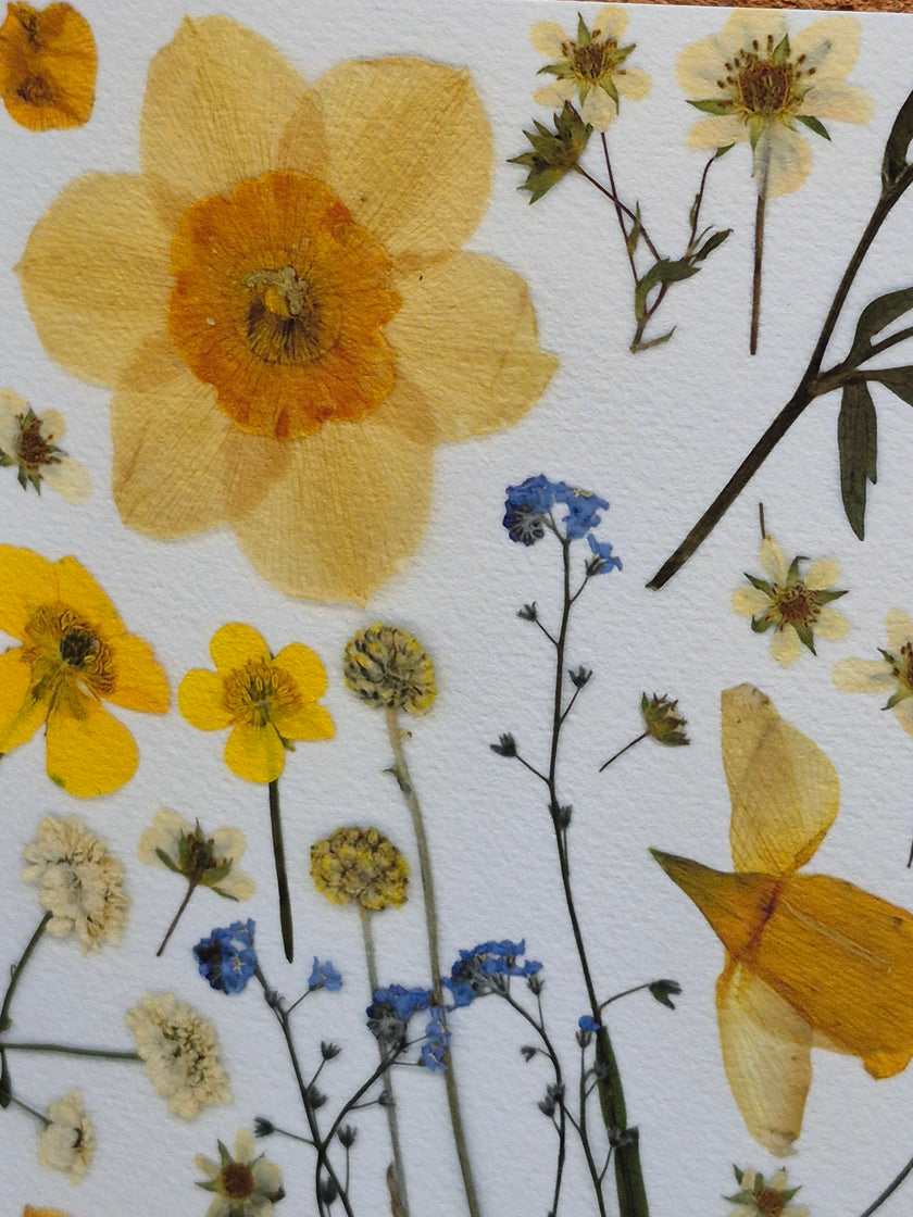 Oeuvre florale - Champ fleuri variation 1
