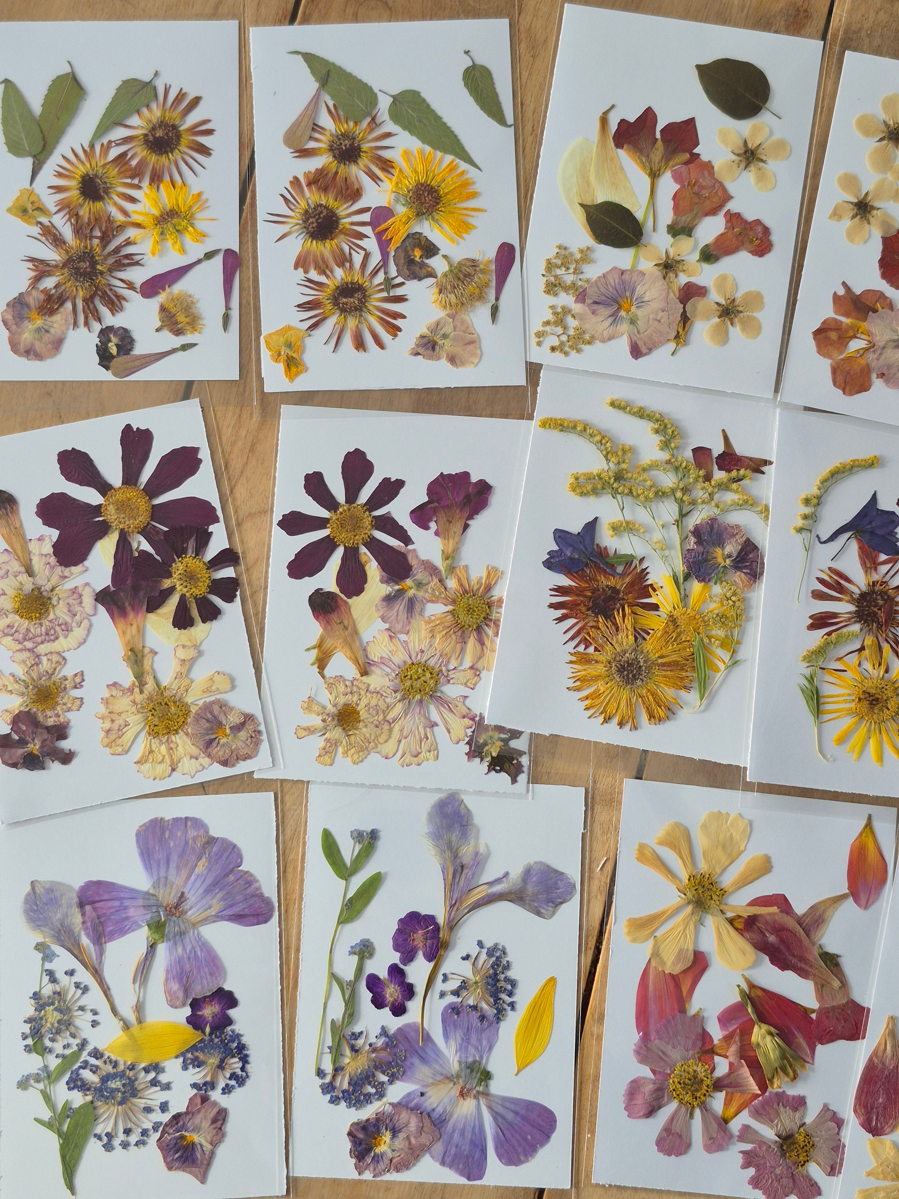 Sachets de fleurs pressées naturelles