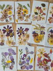 Sachets de fleurs pressées naturelles