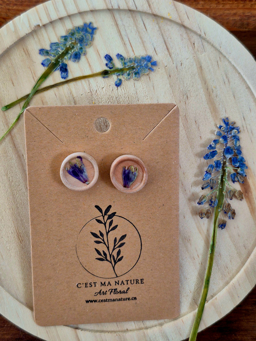 Boucle d'oreilles 
