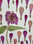Oeuvre florale - Montgolfières