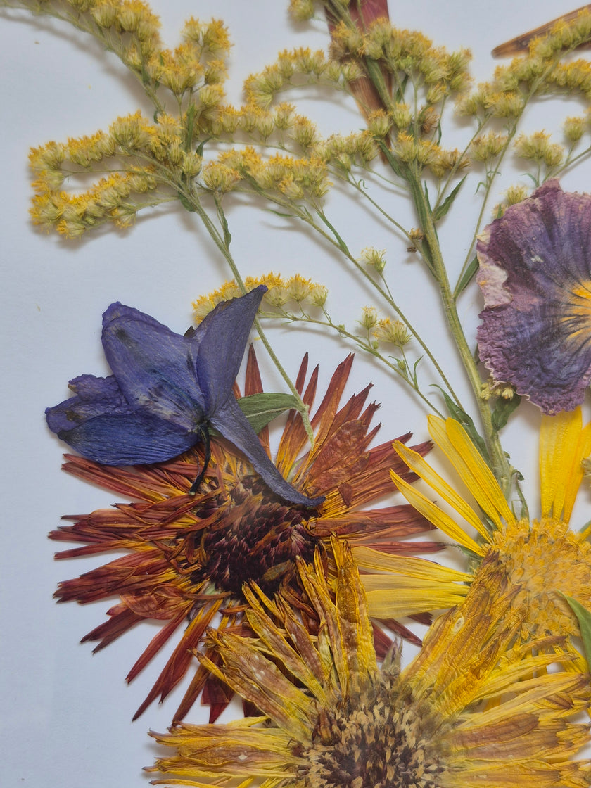 Sachets de fleurs pressées naturelles