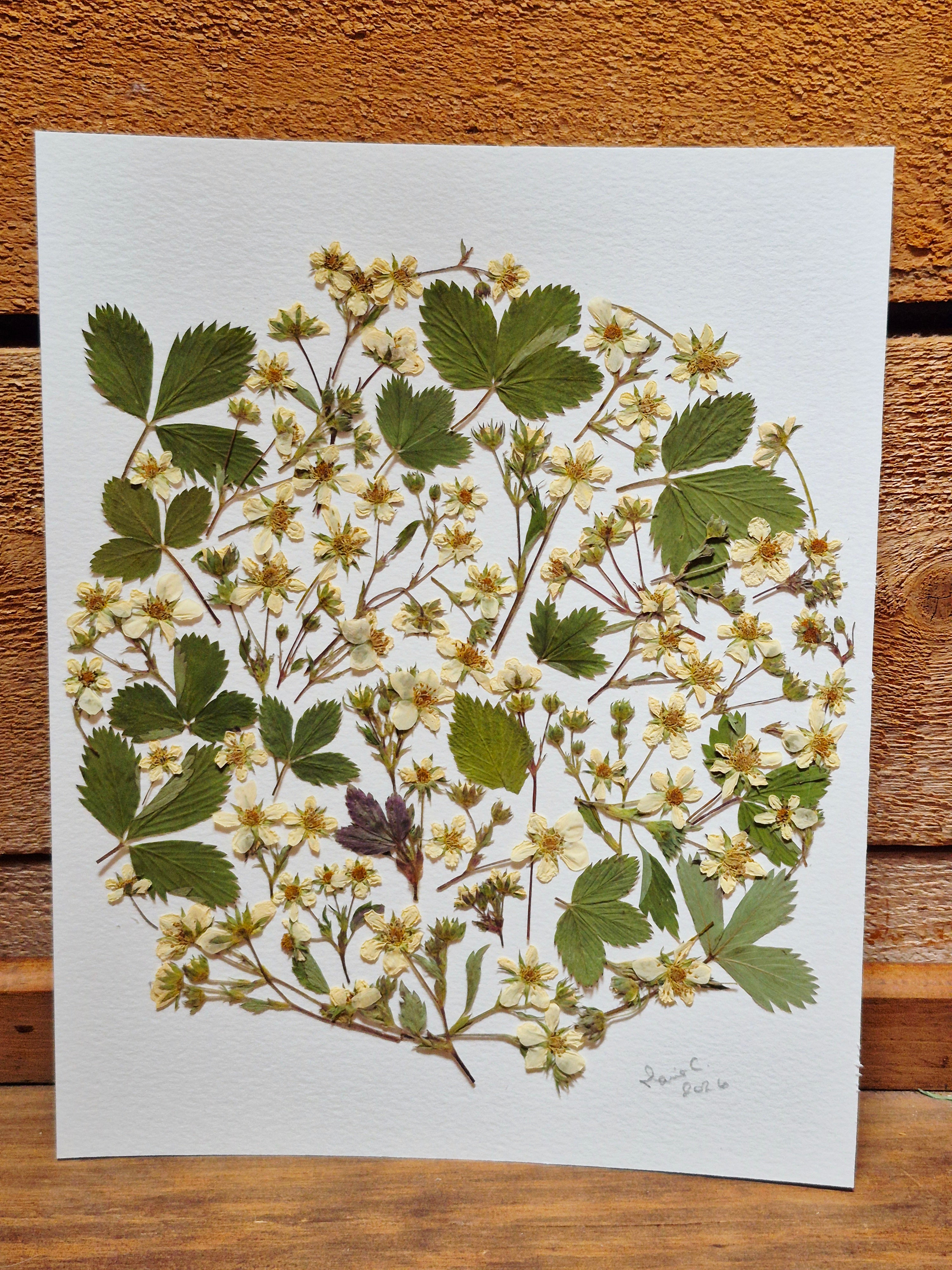 Oeuvre florale- Lune des fraises