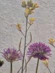 Composition florale artisanale sur papier Lokta 