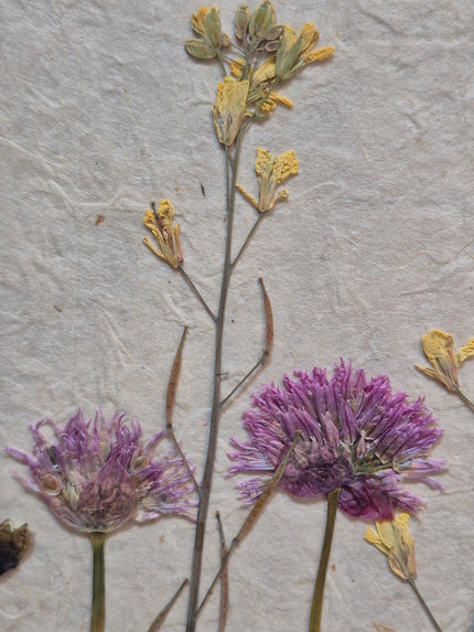 Composition florale artisanale sur papier Lokta 