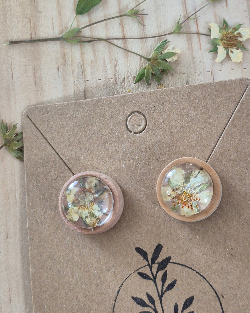 Boucle d'oreilles 