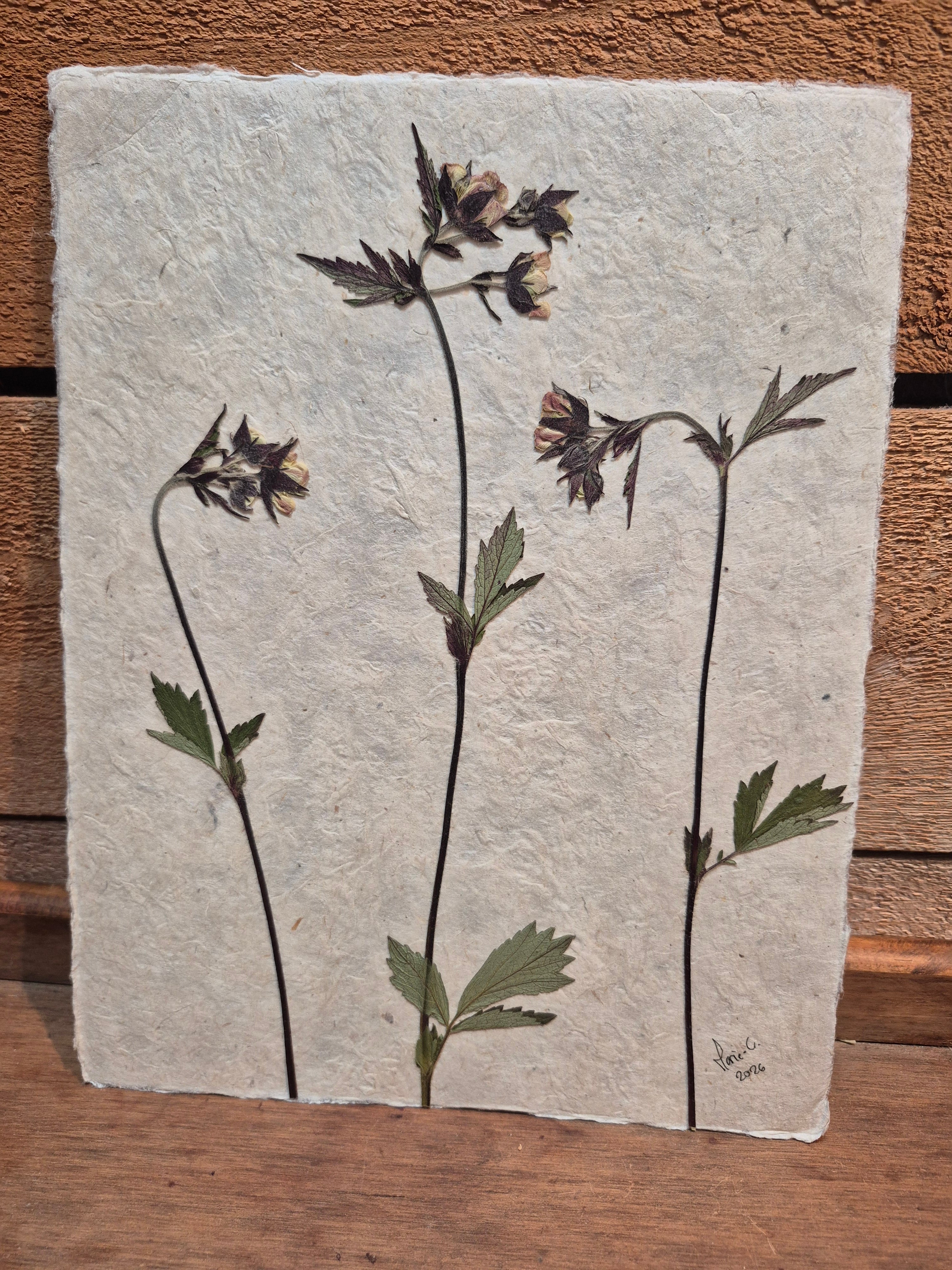 Composition florale artisanale sur papier Lokta 
