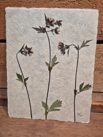 Composition florale artisanale sur papier Lokta 
