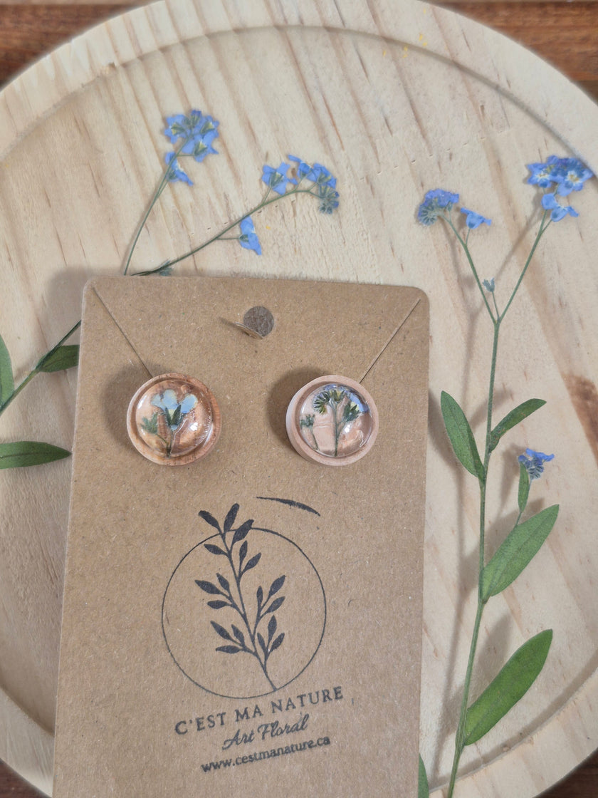 Boucle d'oreilles 