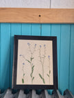 Cadre floral Myosotis