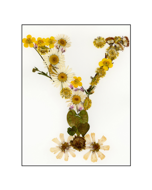 Affiche - Alphabet Floral - Y (8"x10")