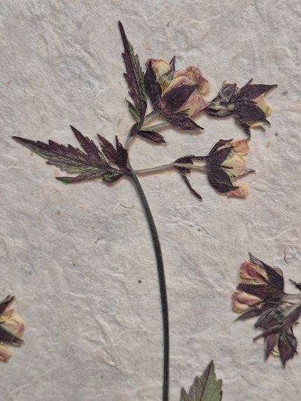 Composition florale artisanale sur papier Lokta 