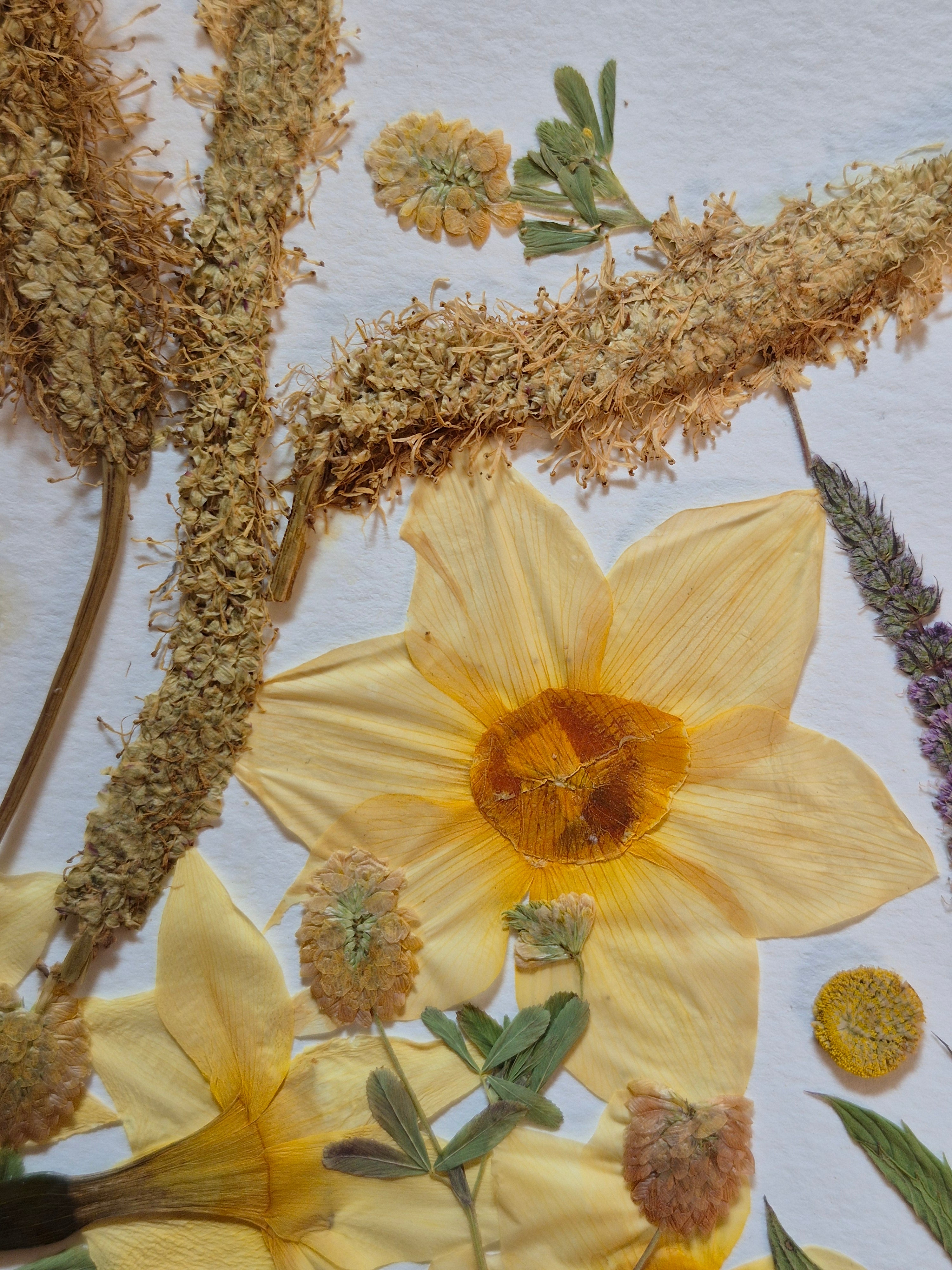 Oeuvre florale- Lune du cerf