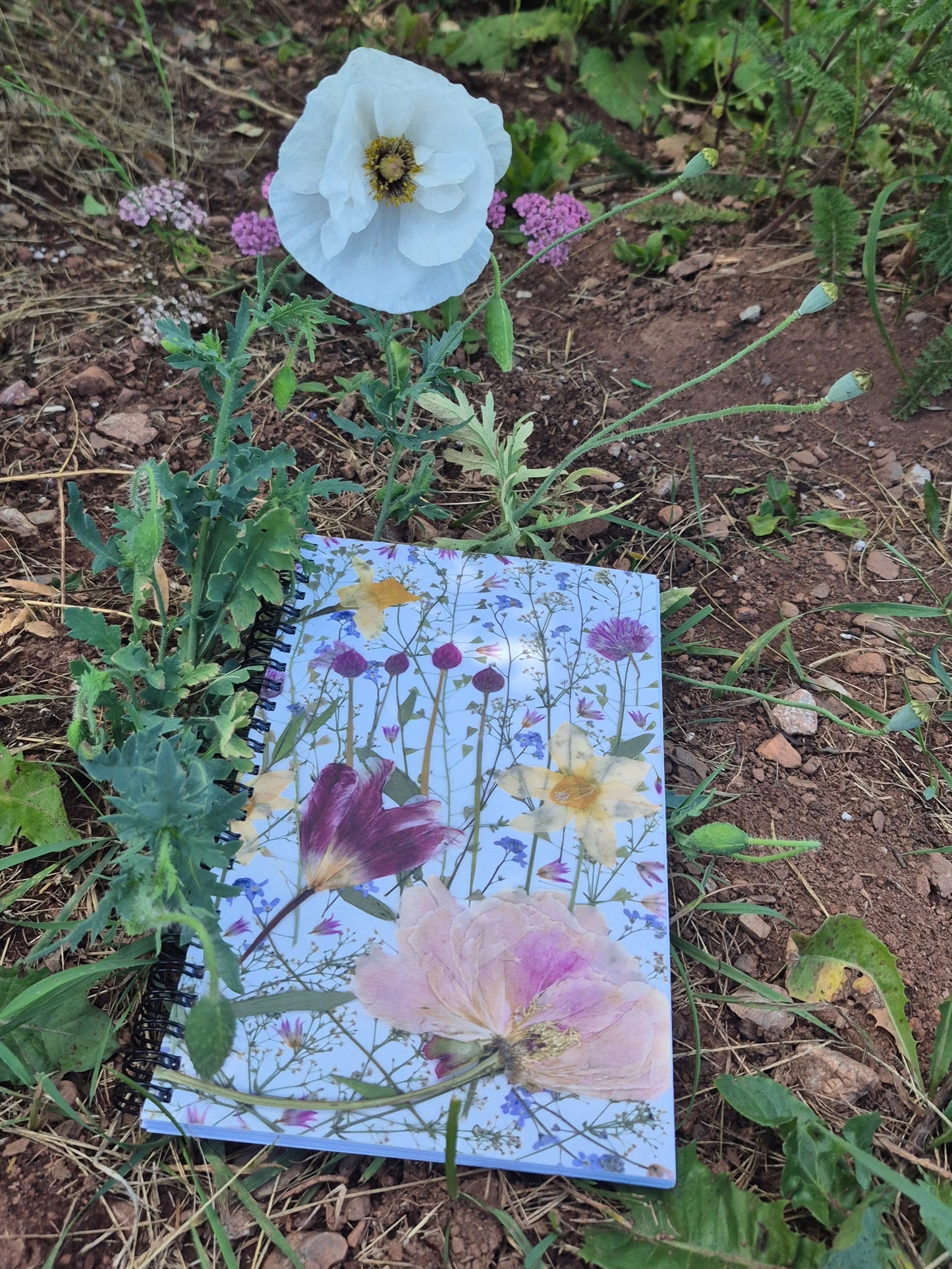 Cahier de notes Champ fleuri 5x8" (pages blanches)