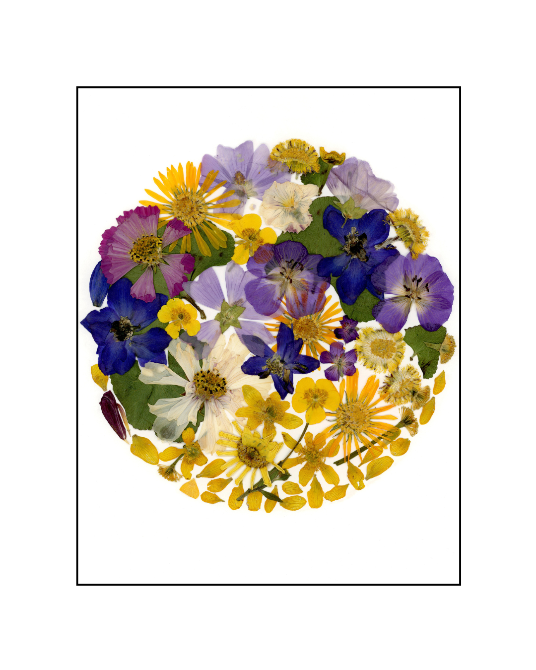 Cartes de souhaits
