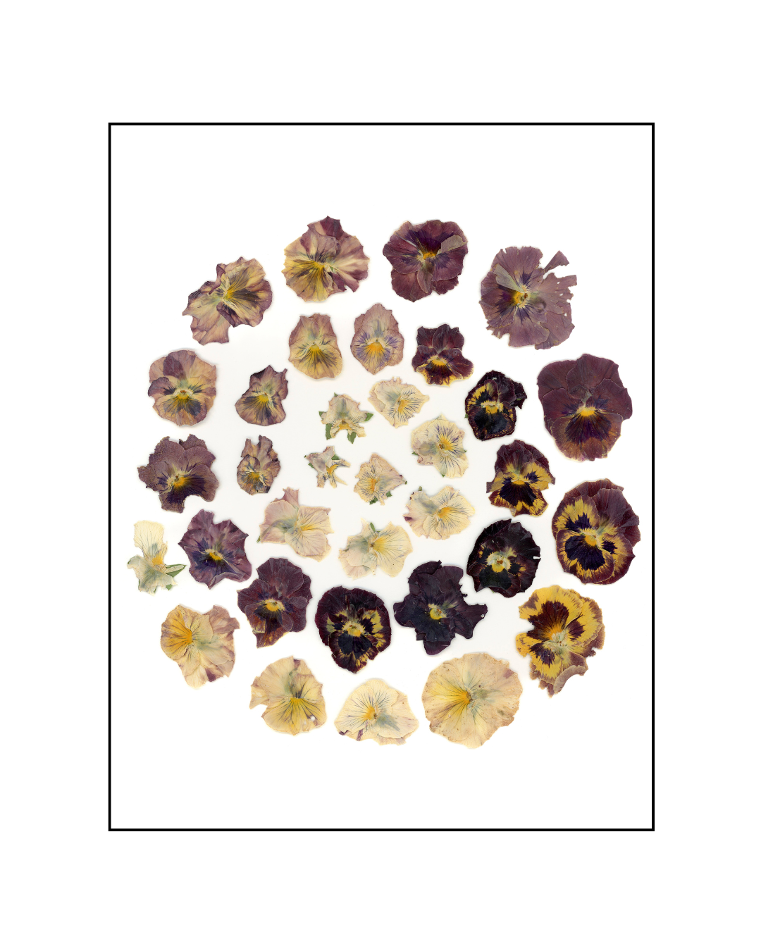 Cartes de souhaits