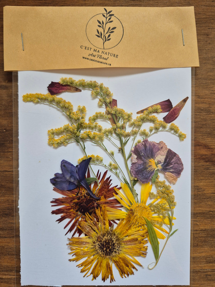 Sachets de fleurs pressées naturelles