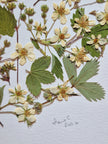 Oeuvre florale- Lune des fraises