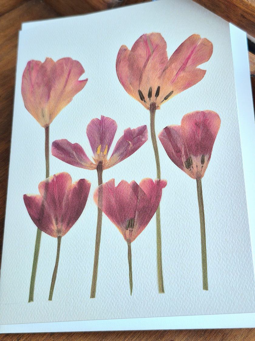Oeuvre florale - Simplement Tulipes