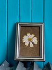 Cadre floral Cosmos