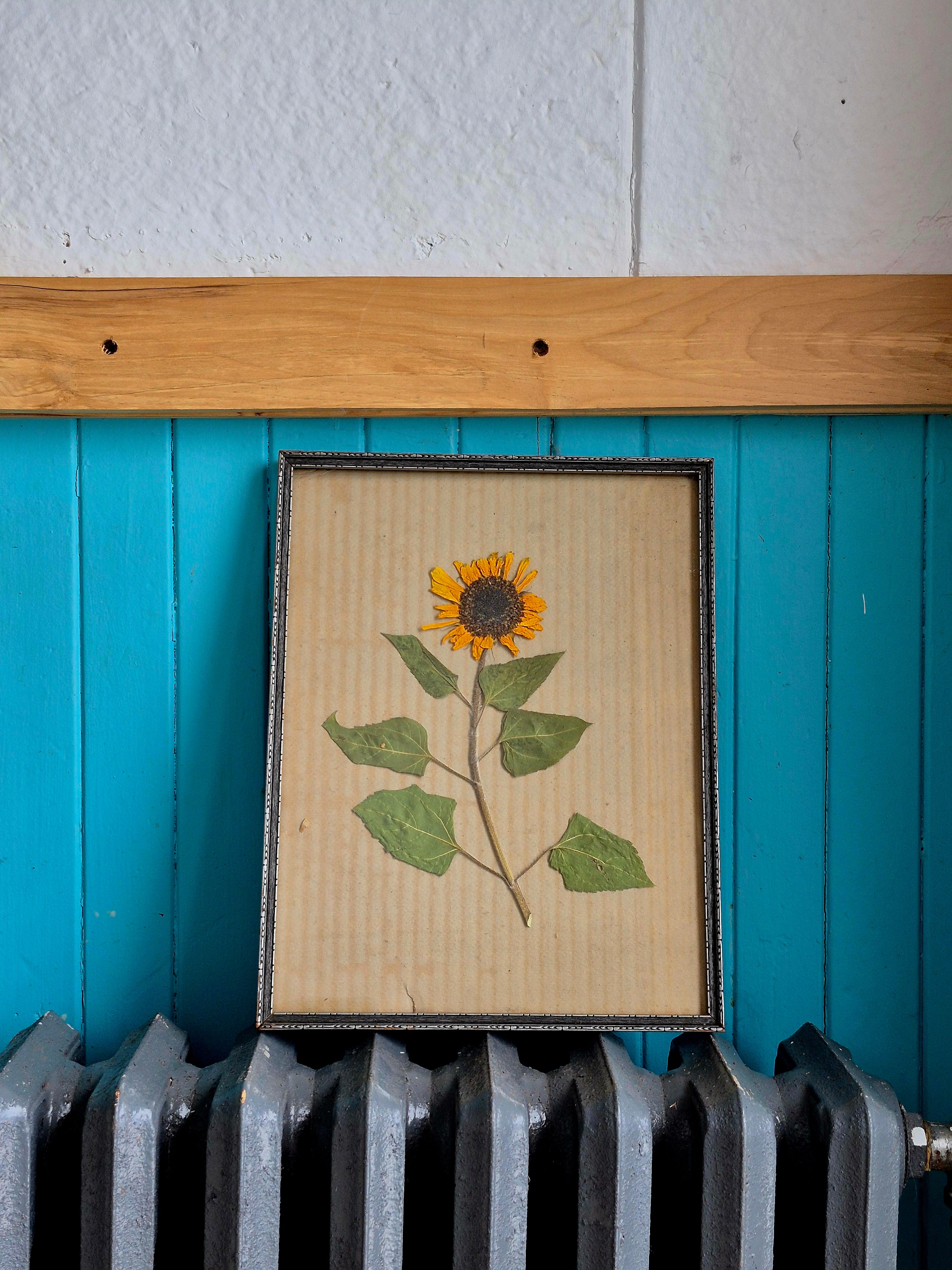Cadre floral Tournesol sur tige