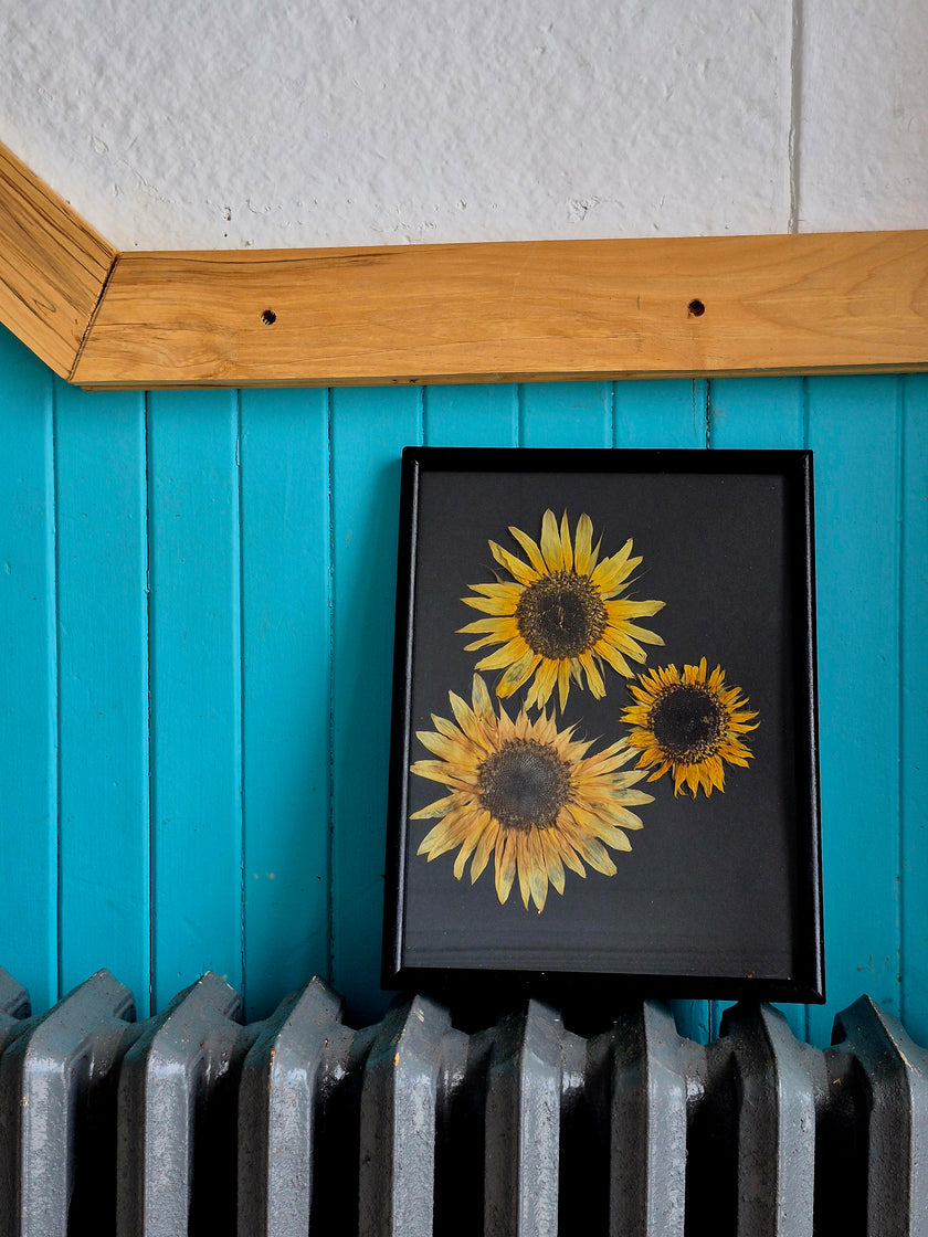 Cadre floral Trois tournesols