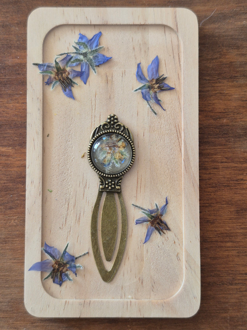 Marque-page vintage - Bourrache