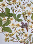Oeuvre florale- Lune des fraises