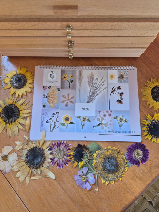 Calendrier 2026 - version artistique